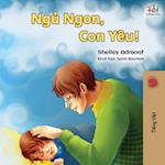 Goodnight, My Love! (Vietnamese language book for kids)