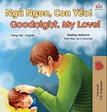 Goodnight, My Love! (Vietnamese English Bilingual Book for Kids)