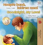 Goodnight, My Love! (Romanian English Bilingual Book for Kids)