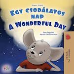 A Wonderful Day (Hungarian English Bilingual Book for Kids)