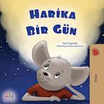 A Wonderful Day (Turkish Book for Children)
