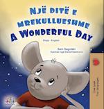 A Wonderful Day (Albanian English Bilingual Book for Kids)