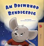 A Wonderful Day (Welsh Book for Children)