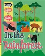Cause, Effect and Chaos!: In the Rainforest