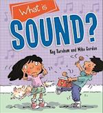 Discovering Science: What is Sound?