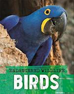 Endangered Wildlife: Rescuing Birds