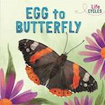 Life Cycles: Egg to Butterfly