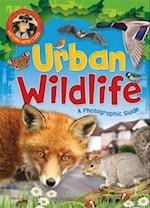 Nature Detective: Urban Wildlife