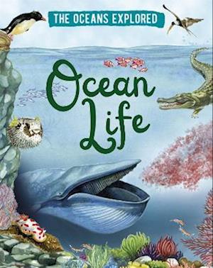 The Oceans Explored: Ocean Life
