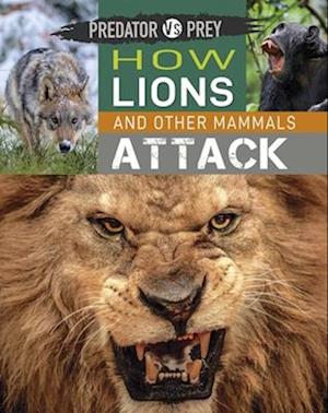 Predator vs Prey: How Lions and other Mammals Attack