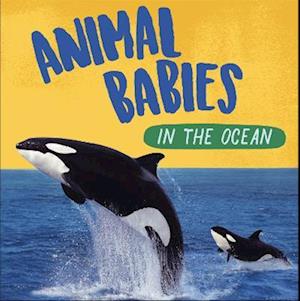 Animal Babies: In the Ocean