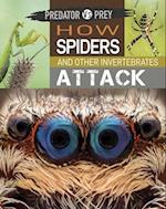 Predator vs Prey: How Spiders and other Invertebrates Attack