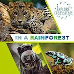 Explore Ecosystems: In a Rainforest
