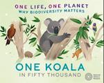 One Life, One Planet: One Koala in Fifty Thousand