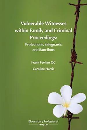 Vulnerable Witnesses within Family and Criminal Proceedings