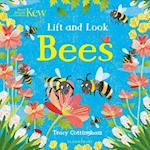 Kew: Lift and Look Bees