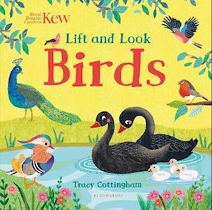 Kew: Lift and Look Birds