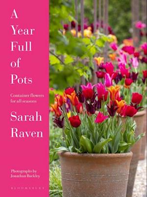 Year Full of Pots