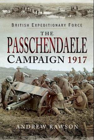 Passchendaele Campaign, 1917