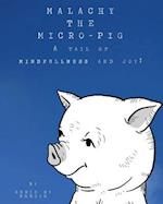 Malachy the Micro-Pig