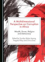 A Multidimensional Perspective on Corruption in Africa