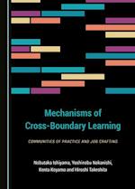 Mechanisms of Cross-Boundary Learning