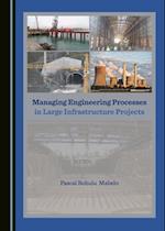 Managing Engineering Processes in Large Infrastructure Projects