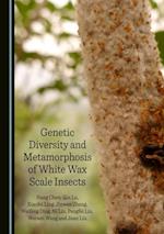 Genetic Diversity and Metamorphosis of White Wax Scale Insects