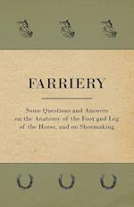 Farriery - Some Questions and Answers on the Anatomy of the Foot and Leg of the Horse, and on Shoemaking