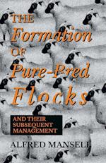 The Formation of Pure-Bred Flocks and Their Subsequent Management