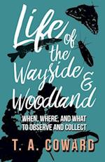 Life of the Wayside and Woodland - When, Where, and What to Observe and Collect