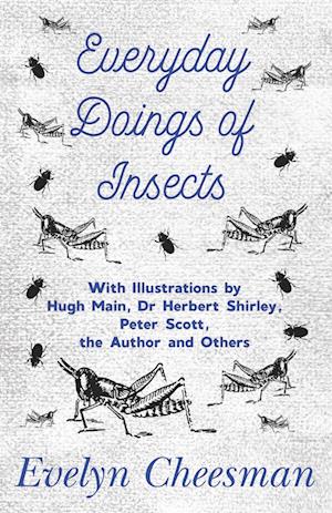 Everyday Doings of Insects - With Illustrations by Hugh Main, Dr Herbert Shirley, Peter Scott, the Author and Others