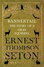 Bannertail - The Story of a Gray Squirrel