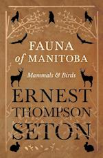 Fauna of Manitoba - Mammals and Birds
