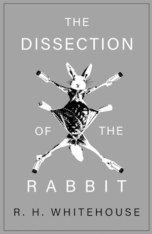 The Dissection of the Rabbit