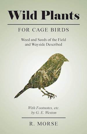 Wild Plants for Cage Birds - Weed and Seeds of the Field and Wayside Described - With Footnotes, etc., by G. E. Weston