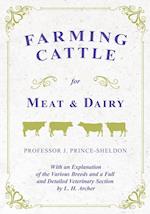 Farming Cattle for Meat and Dairy - With an Explanation of the Various Breeds and a Full and Detailed Veterinary Section by L. H. Archer
