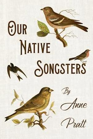 Our Native Songsters