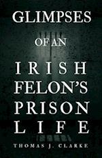 Glimpses of an Irish Felon's Prison Life 