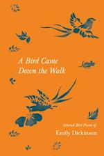 A Bird Came Down the Walk - Selected Bird Poems of Emily Dickinson 