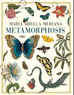 Maria Sibylla Merian's Metamorphosis