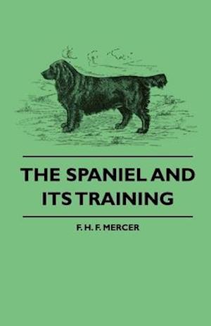 Spaniel and Its Training