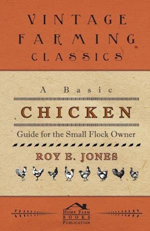 Basic Chicken Guide For The Small Flock Owner