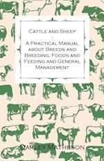 Cattle and Sheep - A Practical Manual about Breeds and Breeding, Foods and Feeding and General Management
