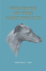 Book of the Greyhound