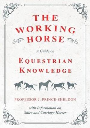 Working Horse - A Guide on Equestrian Knowledge with Information on Shire and Carriage Horses