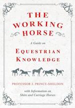 Working Horse - A Guide on Equestrian Knowledge with Information on Shire and Carriage Horses