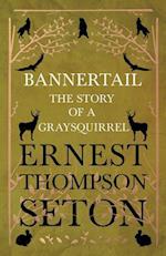 Bannertail - The Story of a Gray Squirrel
