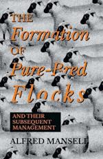 Formation of Pure-Bred Flocks and Their Subsequent Management