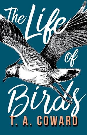 Life of Birds